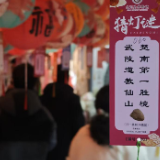 从馆藏千年到山河万里——慈利以全龄共乐书写文化自信新春答卷