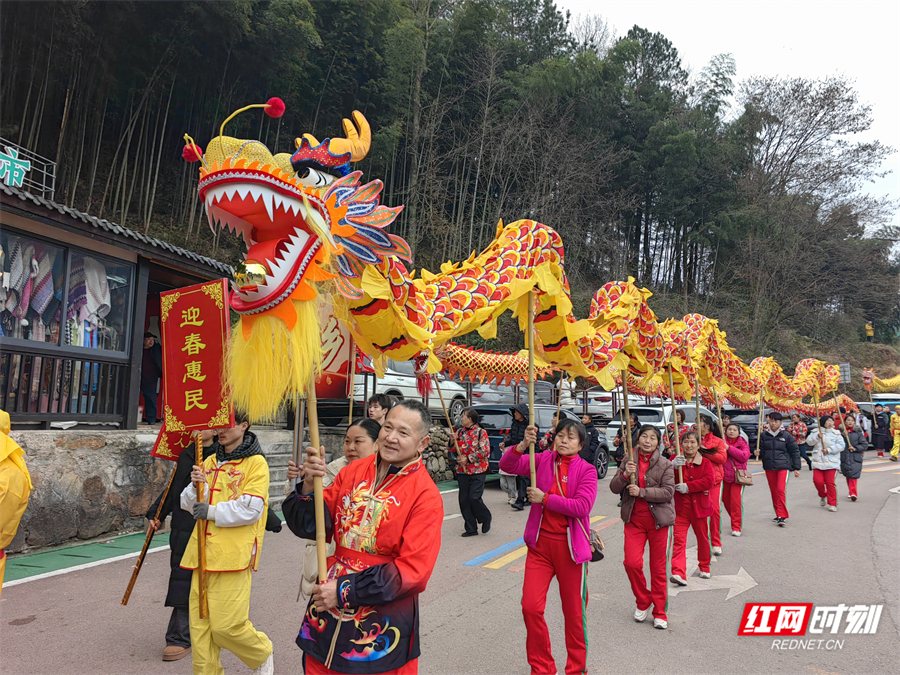 春节游张家界|龙尾巴:千人欢舞"龙头”度新春