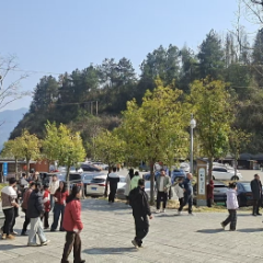 春节游张家界｜茅岩河景区春节假期接待平稳有序 优质服务护航游客出行