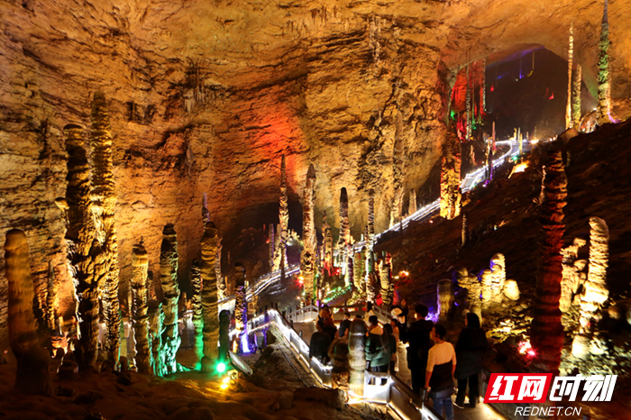 春节游张家界｜免费停车！大连游客为黄龙洞景区停车场点赞