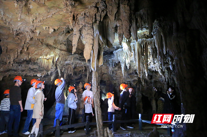 春节游张家界｜黄龙洞春节上新“迷宫探险”项目 青少年争相打卡地心奇境
