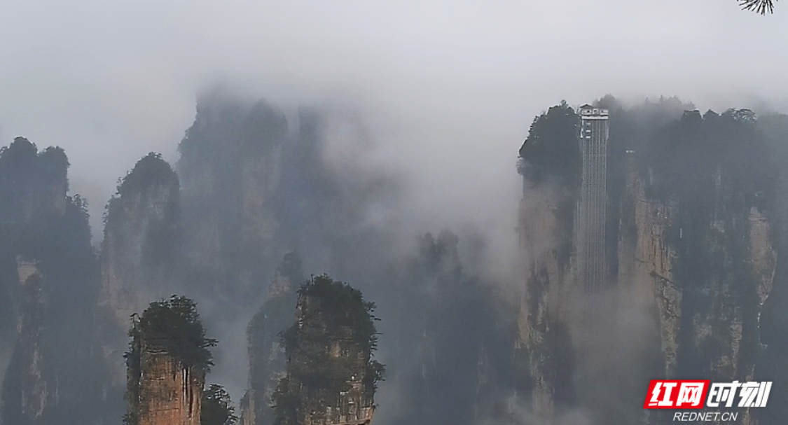 云雾入画 诗意新春——张家界国家森林公园尽显山水之美