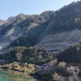 苟工长“送嫁”