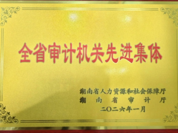 武陵源区审计局荣获“全省审计机关先进集体”称号