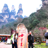 张家界十里画廊景区立春时节梅花迎客来 入境游持续升温