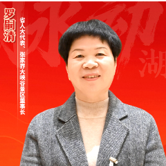 两会好声音｜罗嗣清：以大峡谷景区创新提质 助力大张家界国际旅游区打造