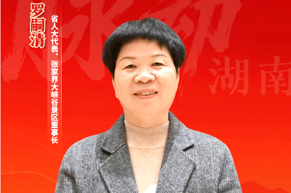 两会好声音｜罗嗣清：以大峡谷景区创新提质 助力大张家界国际旅游区打造