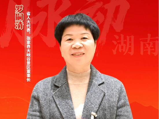 两会好声音｜罗嗣清：以大峡谷景区创新提质 助力大张家界国际旅游区打造