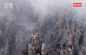 寒潮来袭 张家界天子山现绝美雪景雾凇