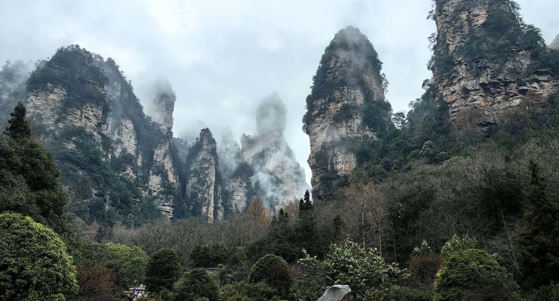 张家界：春风拂过三千峰，在峰林云雾间拥抱春天
