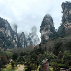 张家界：春风拂过三千峰，在峰林云雾间拥抱春天