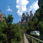 网络评论｜银发专列乘风起 夕阳文旅踏歌来