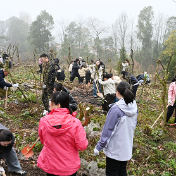 桑植县民族中医院开展“植树造林･绿化桑植”主题党日活动