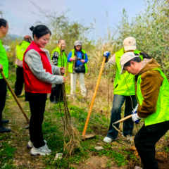 张家界绿色卫士开展3·12植树节志愿服务活动