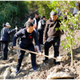 挥锹播绿山水间！武陵源区开展2026年义务植树活动