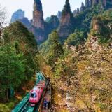 春染张家界，十里画廊踏青赏花正当时