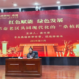 桑植：红色赋能绿色发展 探索革命老区共同现代化新路径