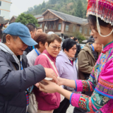 香港五百人团春游宝峰湖，湘港文旅相融绘新篇