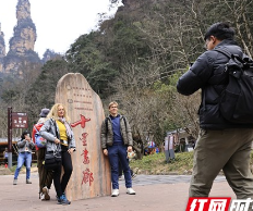 张家界国家森林公园十里画廊春花烂漫 外国游客纷至沓来（组图）