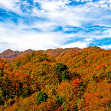 湖南省桑植县：优化环境显担当 一线服务见作为