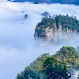 网络评论 | 从“一城独秀”到“全域共美”，大张家界托起湖南文旅新高度