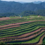 美文欣赏丨马合口记