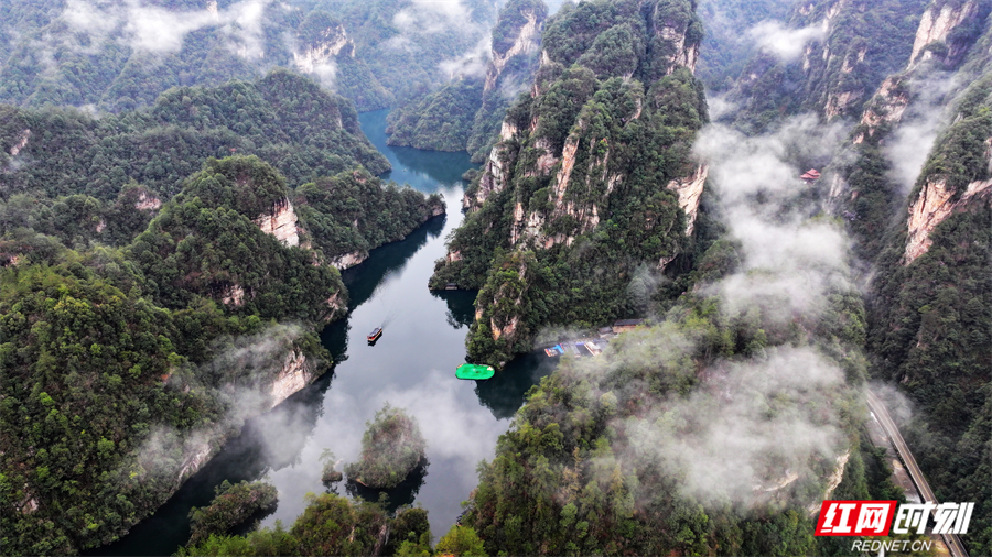 张家界宝峰湖景区雨后春光美 中外游客赏花观瀑陶醉其间