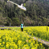 张家界黄龙洞：直升机游受青睐 三月春光醉四海
