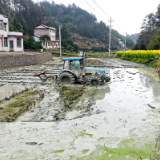 慈利县大庄村：筑牢粮食种植与集体经济双根基
