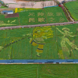 张家界春色四重奏④｜一城红韵一城清欢，桑植的春天等您来