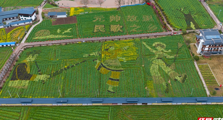 张家界春色四重奏④｜一城红韵一城清欢，桑植的春天等您来