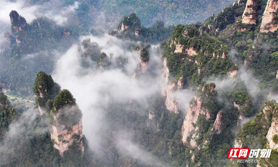 张家界国家森林公园：春日云海漫峰林 如梦若幻似仙境