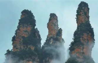 云漫十里，峰丛如聚——张家界十里画廊的水墨诗行