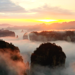 太治愈！张家界黄石寨云海翻涌伴日出 每一帧都是壁纸级仙境