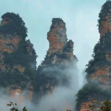 云漫十里,峰丛如聚——张家界十里画廊的水墨诗行