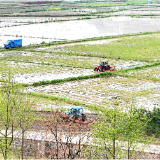 慈利县零溪镇：早稻生产正当时 田间作业闹春耕