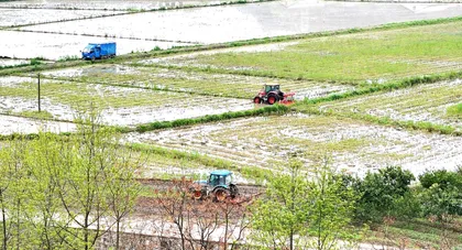 慈利县零溪镇：早稻生产正当时 田间作业闹春耕