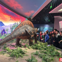 沉浸式解码地质奥秘 1200余名师生走进张家界世界地质公园博物馆