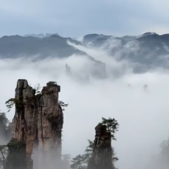 藏不住了!张家界天子山云雾仙境,随手拍都是大片