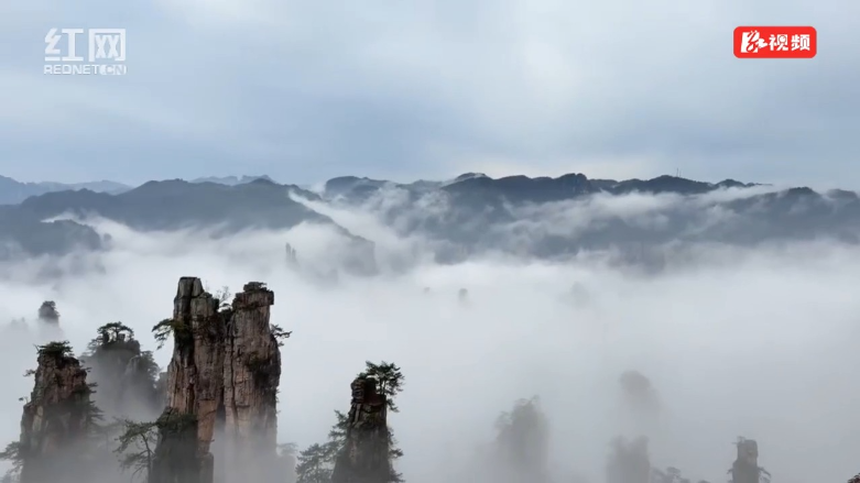 藏不住了！张家界天子山云雾仙境，随手拍都是大片