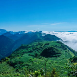 美文欣赏|秀美桥自弯