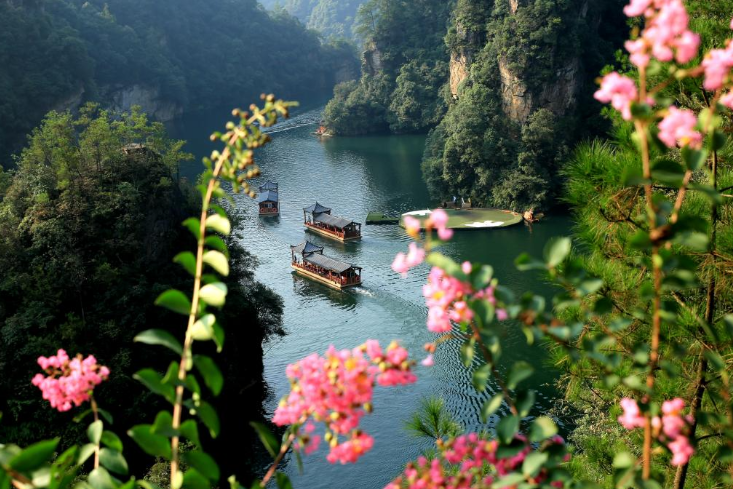 一封韩文感谢信，藏着张家界宝峰湖的服务温度