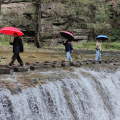 张家界金鞭溪：雨后琉璃水 中外游客醉