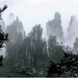 烟雨天子山:放大的盆景 缩小的仙境
