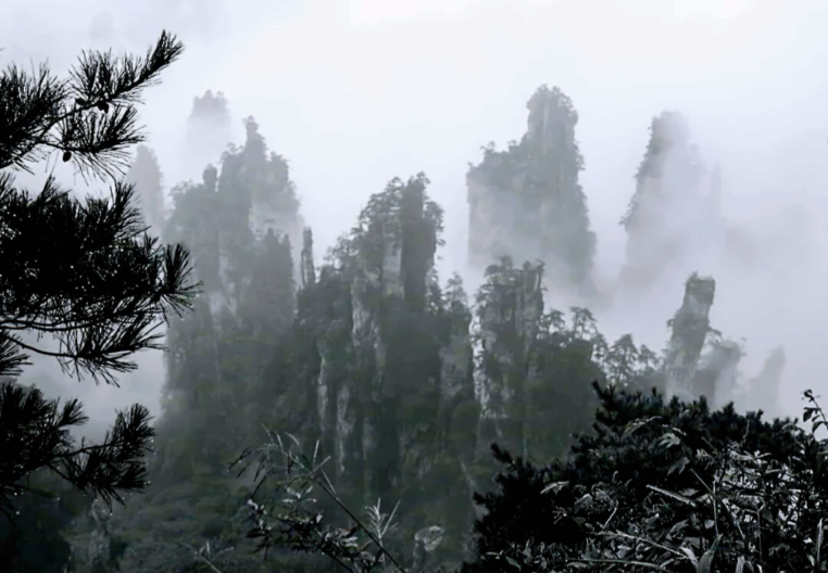 烟雨天子山：放大的盆景 缩小的仙境