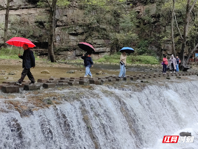 张家界金鞭溪：雨后琉璃水 中外游客醉