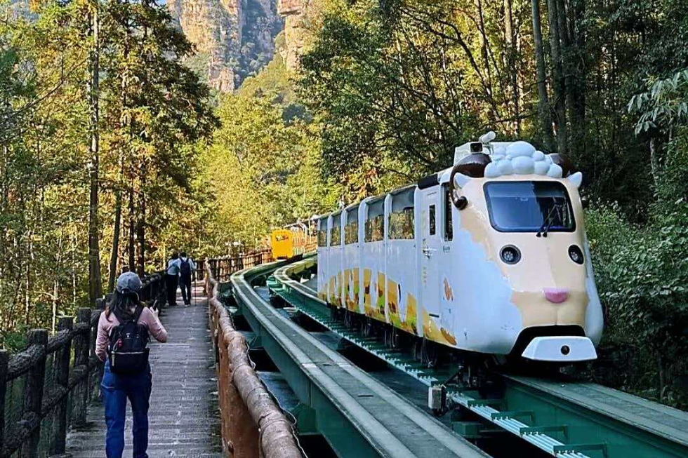 雨歇山青，春光正好！张家界十里画廊迎来最佳赏游期