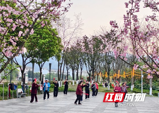张家界市武陵源区：城市公园春花竞放 市民尽享休闲生活（组图）