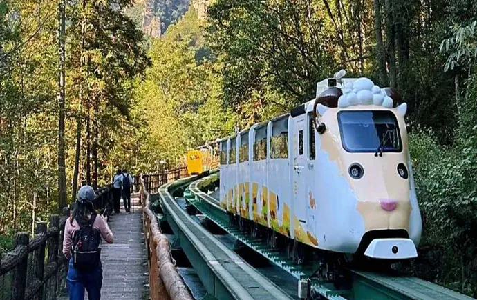 雨歇山青，春光正好！张家界十里画廊迎来最佳赏游期