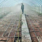 人勤春来早！ 永定区沙堤街道50亩优质早稻完成播种